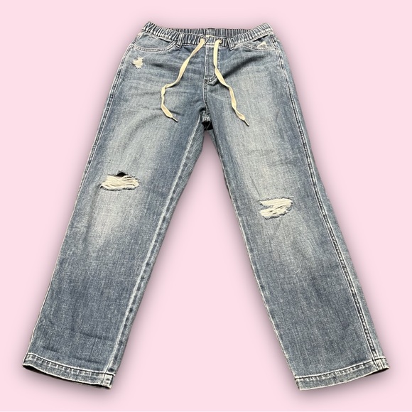 aerie Pants - aerie Denim Joggers